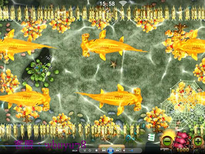 9代星力平台信誉